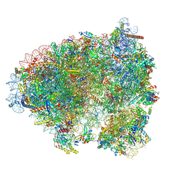 BU of 9hes by Molmil