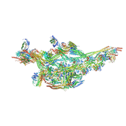 BU of 9hhl by Molmil