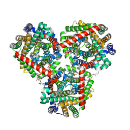 BU of 9hkl by Molmil