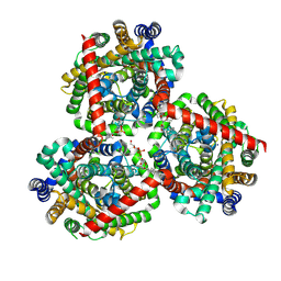 BU of 9hko by Molmil