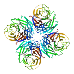 BU of 9hlh by Molmil