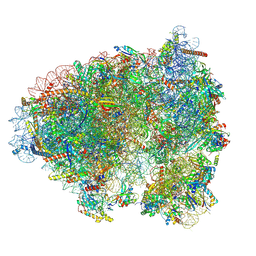BU of 9hmw by Molmil