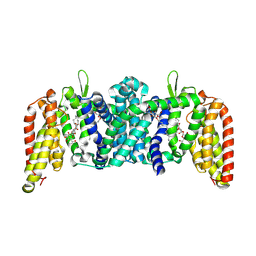 BU of 9hnp by Molmil
