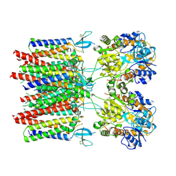 BU of 9hpc by Molmil