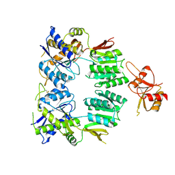 BU of 9hpd by Molmil