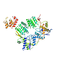 BU of 9hpf by Molmil