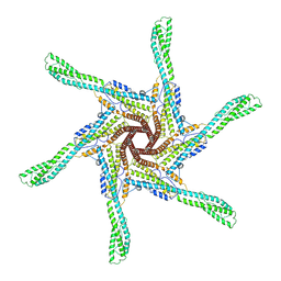 BU of 9hpn by Molmil