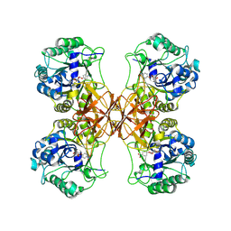 BU of 9hz1 by Molmil