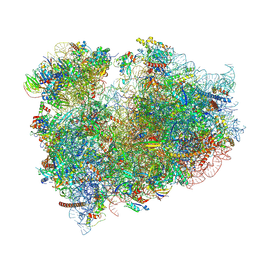 BU of 9i14 by Molmil
