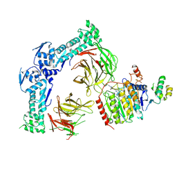 BU of 9i2c by Molmil