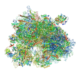 BU of 9i2e by Molmil