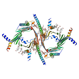 BU of 9i6b by Molmil