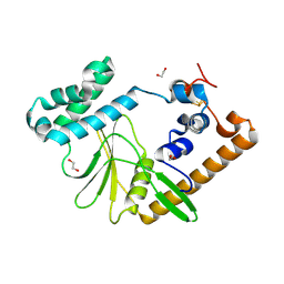 BU of 9iac by Molmil