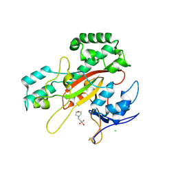 BU of 9ihs by Molmil