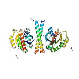 BU of 9ikq by Molmil