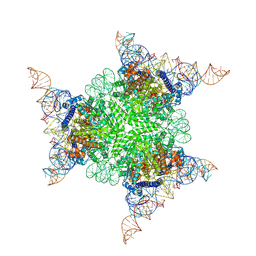 BU of 9iob by Molmil