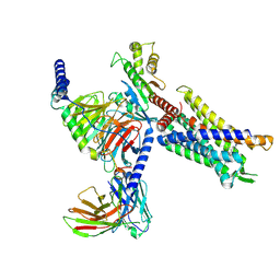 BU of 9ipv by Molmil