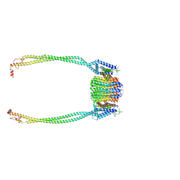 BU of 9itp by Molmil