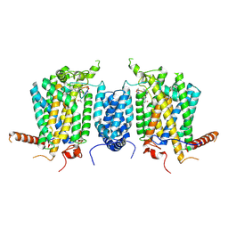BU of 9ivc by Molmil