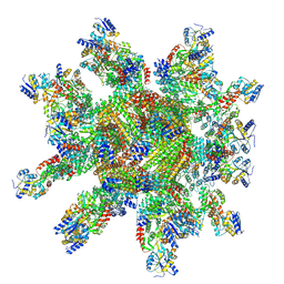BU of 9ivp by Molmil