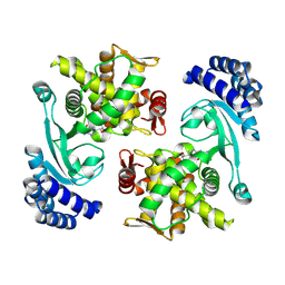 BU of 9j2m by Molmil