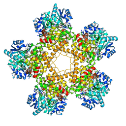 BU of 9jav by Molmil