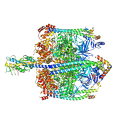 BU of 9jc1 by Molmil