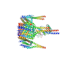 BU of 9jc2 by Molmil