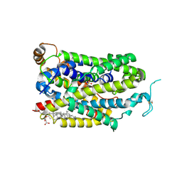 BU of 9jd6 by Molmil
