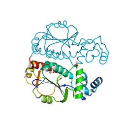 BU of 9jgb by Molmil