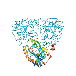 BU of 9jhv by Molmil