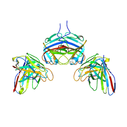 BU of 9jim by Molmil