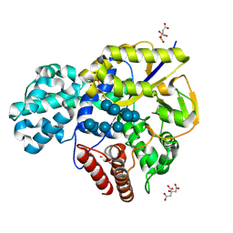 BU of 9jlv by Molmil
