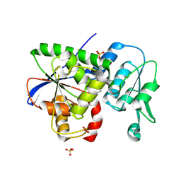 BU of 9jqf by Molmil