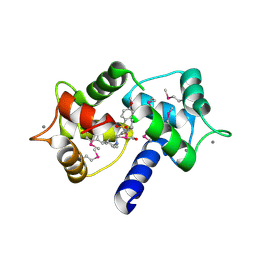 BU of 9jqi by Molmil