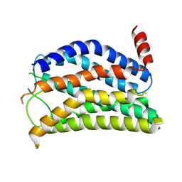 BU of 9jvm by Molmil