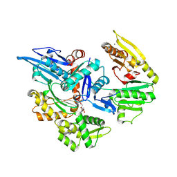 BU of 9jw0 by Molmil