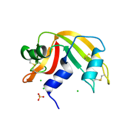 BU of 9jwh by Molmil