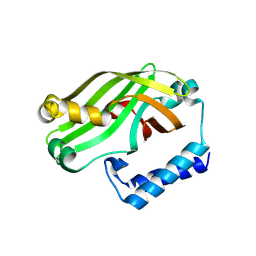 BU of 9jwr by Molmil
