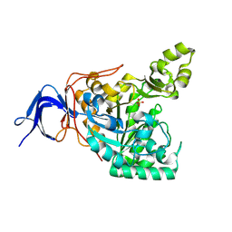BU of 9kb1 by Molmil