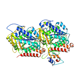 BU of 9kbw by Molmil