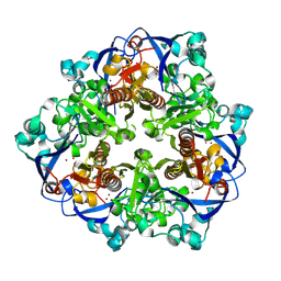 BU of 9kho by Molmil