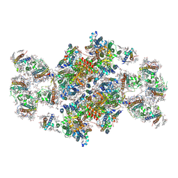 BU of 9kqb by Molmil