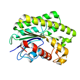 BU of 9l37 by Molmil