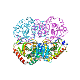 BU of 9ldb by Molmil