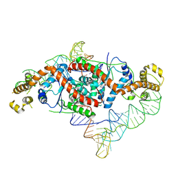 BU of 9lpc by Molmil