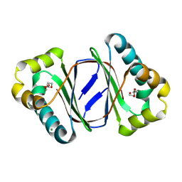 BU of 9lsd by Molmil