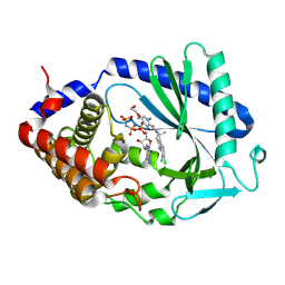 BU of 9mdc by Molmil