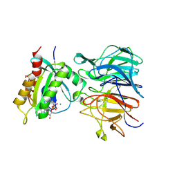 BU of 9mez by Molmil