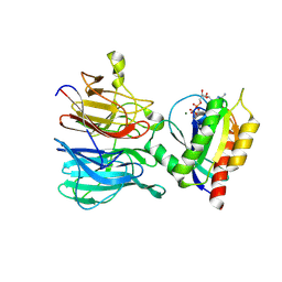BU of 9mf0 by Molmil